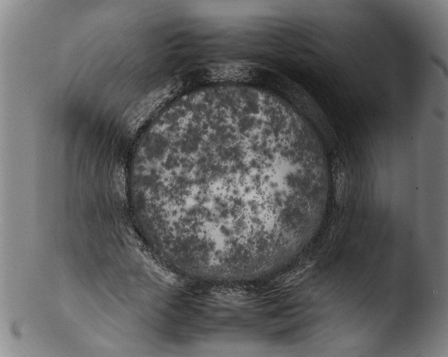 X0000103430729200809261730