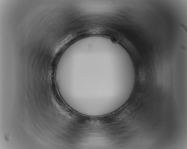 X0000103430730200809261730