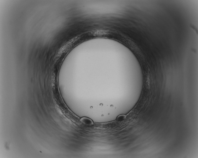 X0000103430732200809261730