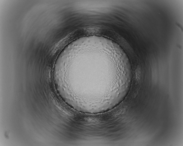 X0000103430733200809261730