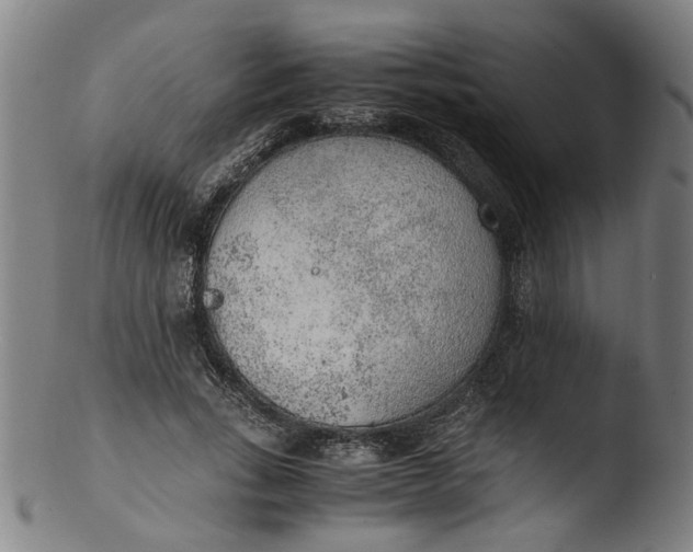 X0000103430735200809261730