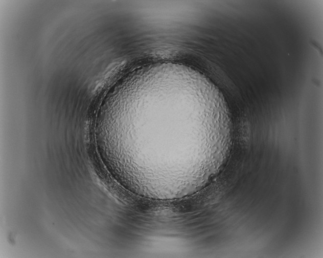 X0000103430738200809261730