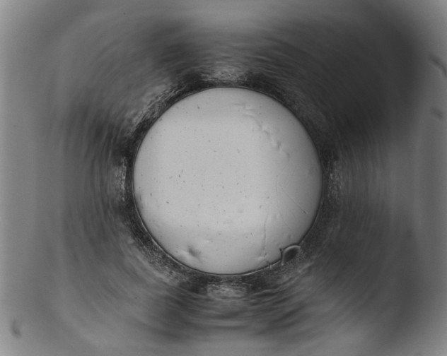 X0000103430739200809261730