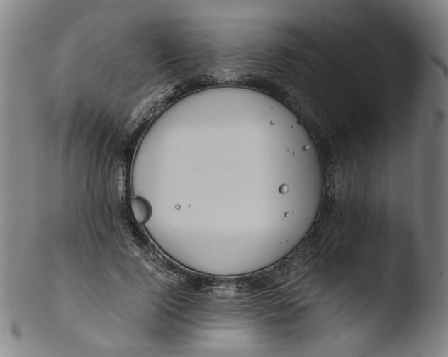 X0000103430740200809261730