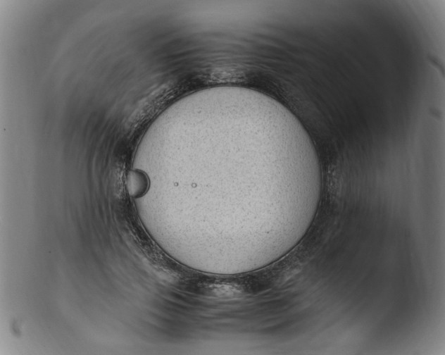 X0000103430741200809261730