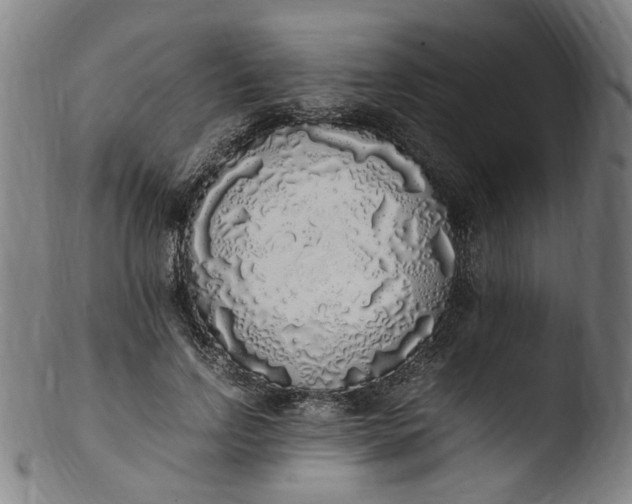 X0000103430742200809261730