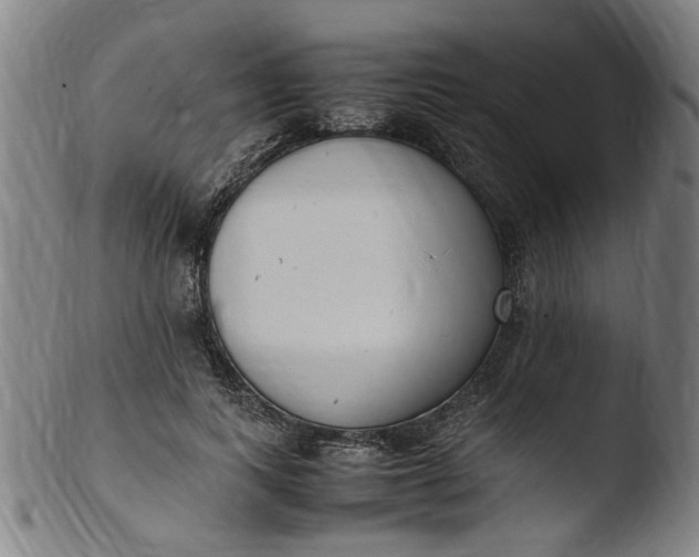 X0000103430743200809261730