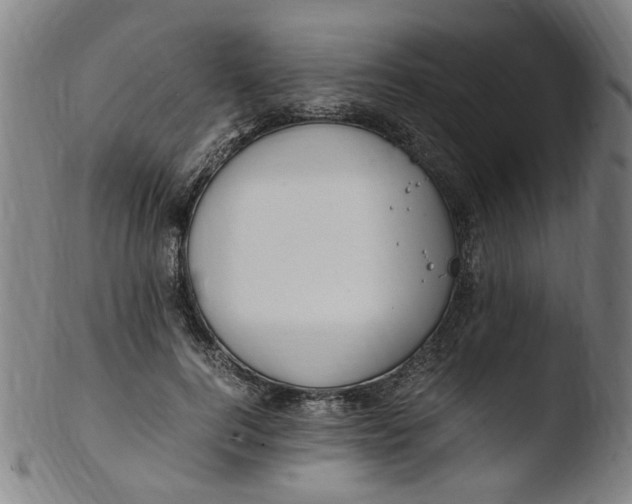 X0000103430744200809261730