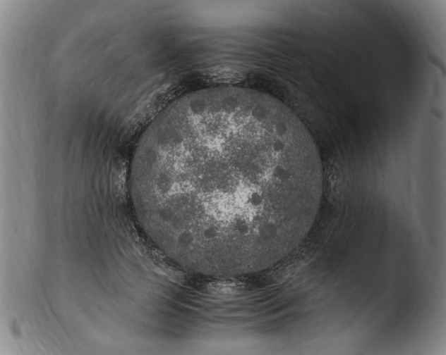 X0000103430745200809261730