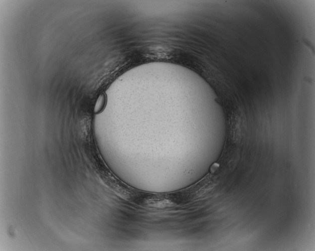 X0000103430747200809261730