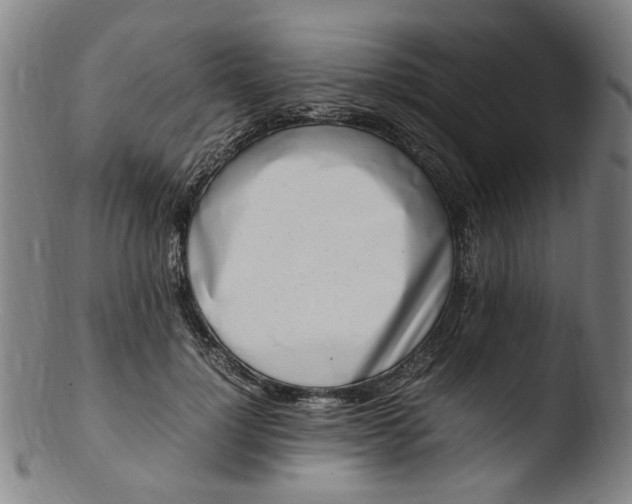 X0000103430748200809261730