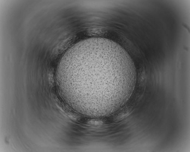 X0000103430749200809261730