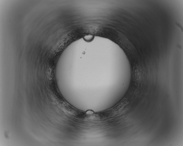 X0000103430750200809261730