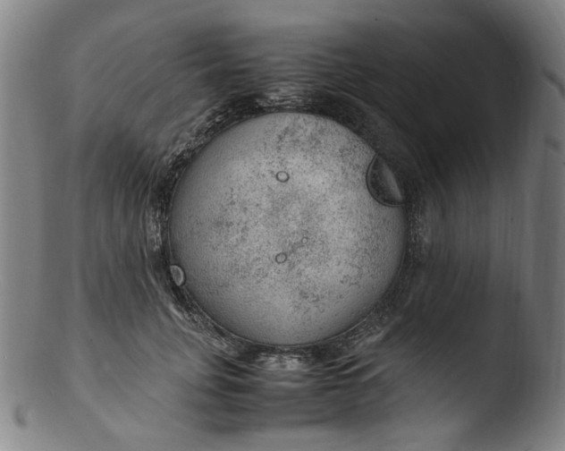 X0000103430751200809261730