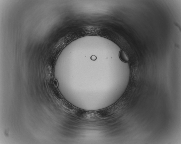 X0000103430752200809261730