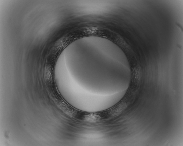 X0000103430754200809261730