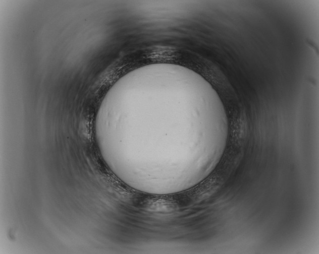 X0000103430755200809261730