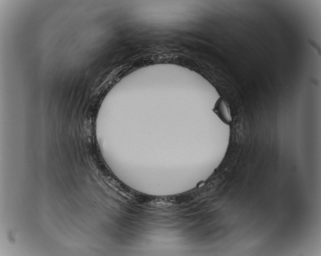 X0000103430756200809261730