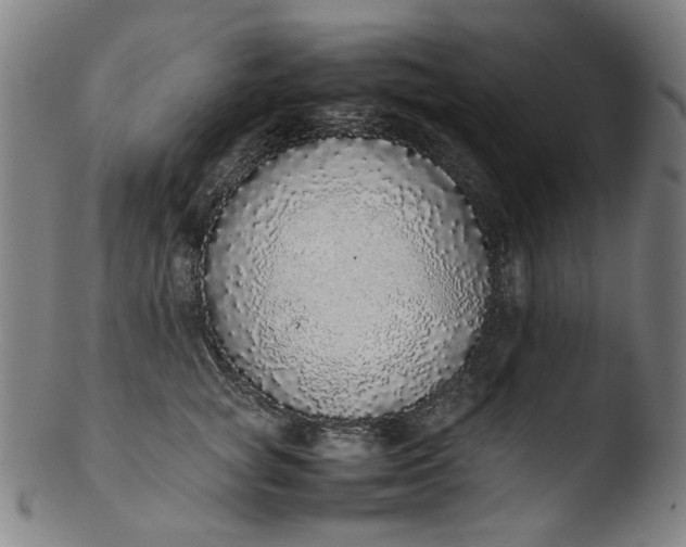 X0000103430757200809261730