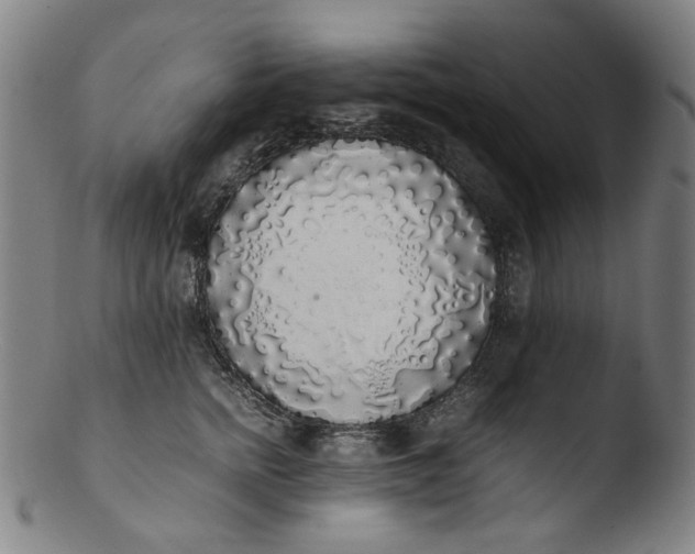 X0000103430758200809261730