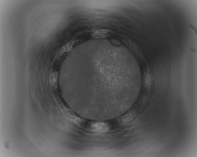 X0000103430759200809261730