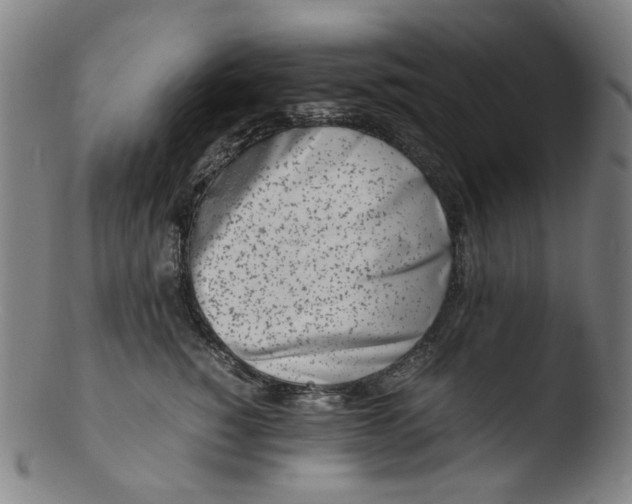 X0000103430760200809261730