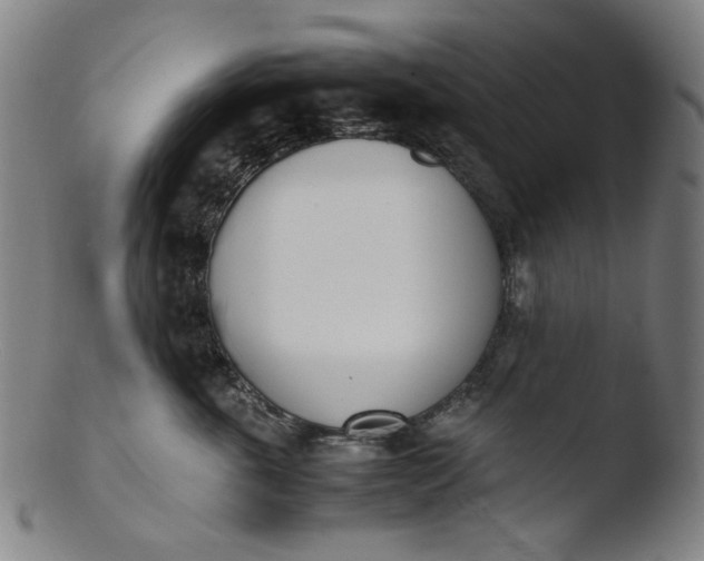 X0000103430763200809261730