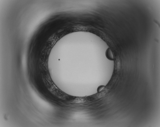 X0000103430764200809261730