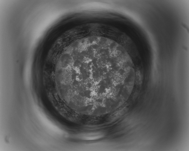 X0000103430765200809261730