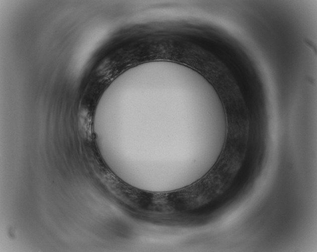 X0000103430766200809261730