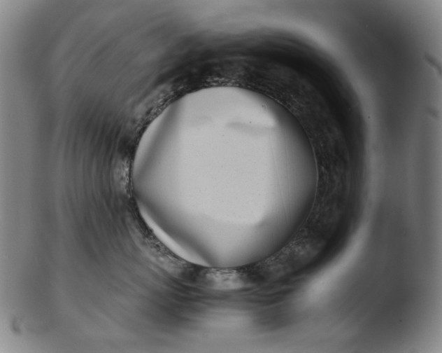 X0000103430767200809261730