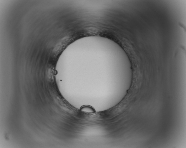 X0000103430768200809261730