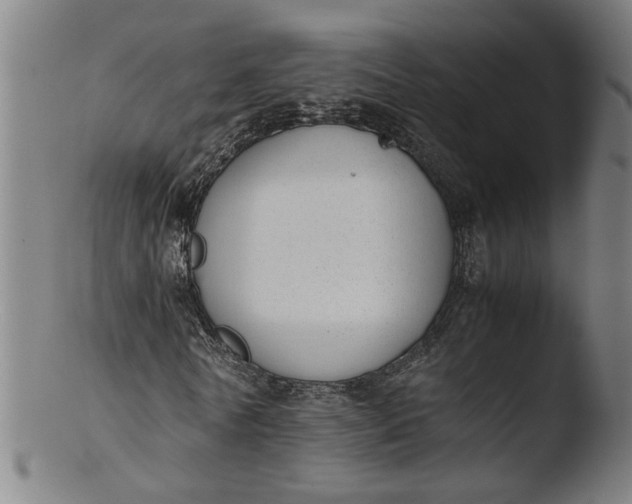 X0000103430770200809261730