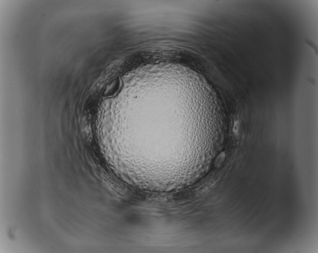 X0000103430771200809261730