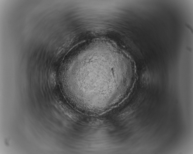 X0000103430772200809261730