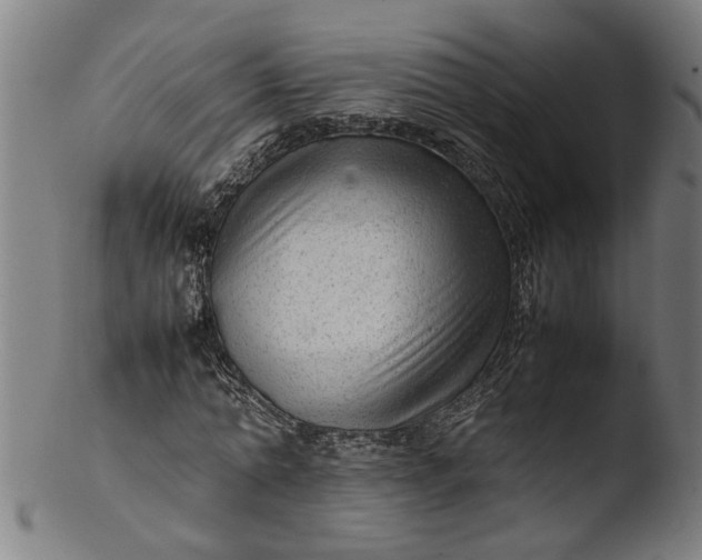 X0000103430774200809261730