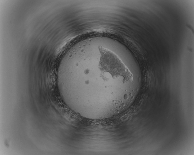 X0000103430776200809261730