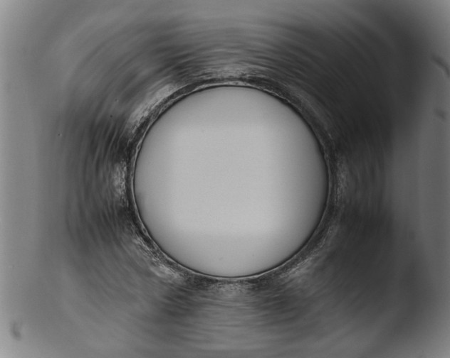 X0000103430778200809261730