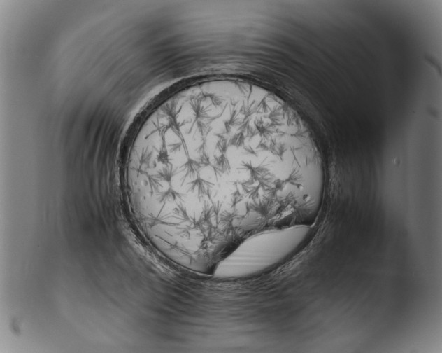 X0000103430784200809261729