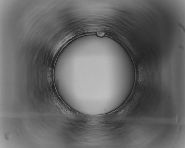 X0000103430786200809261729