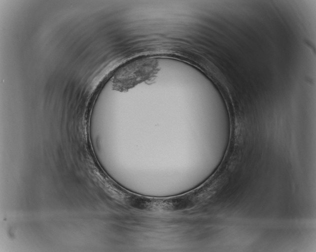 X0000103430789200809261729