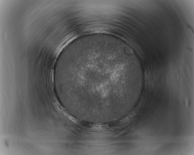 X0000103430790200809261729