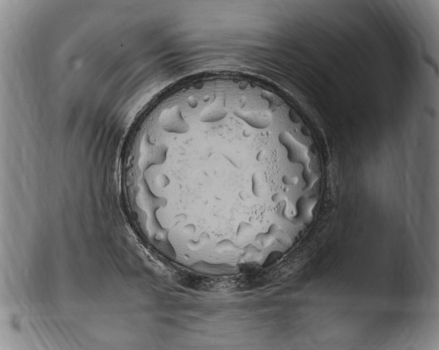 X0000103430791200809261729