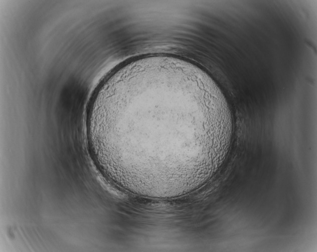 X0000103430792200809261729