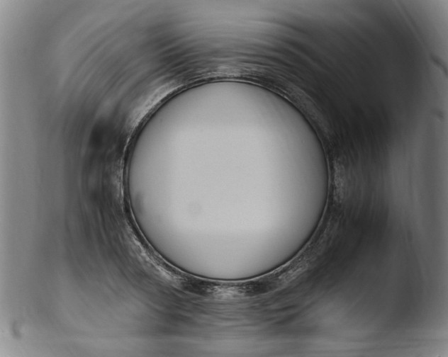 X0000103430794200809261729