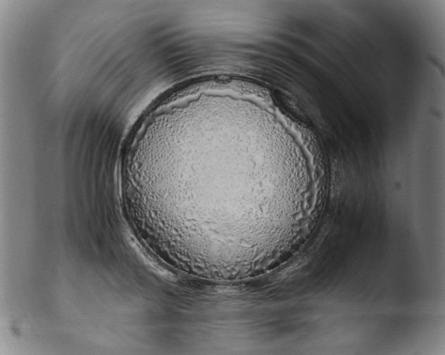 X0000103430796200809261729