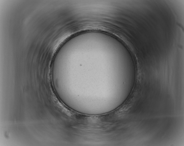 X0000103430799200809261729