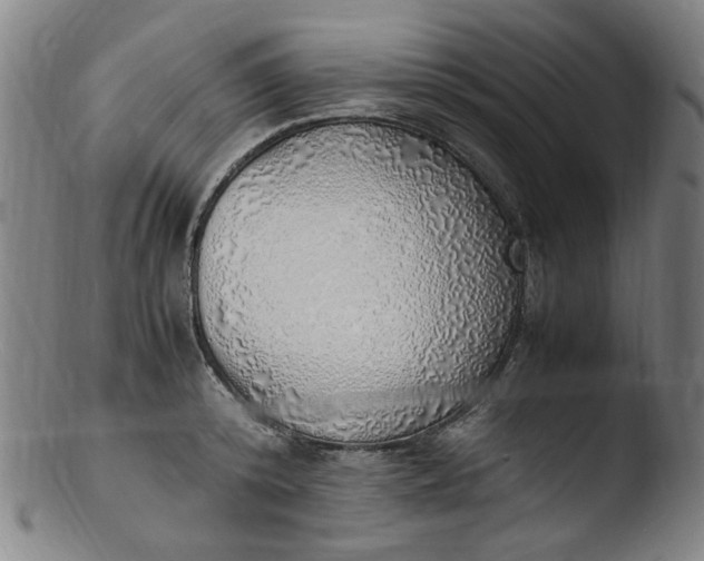 X0000103430800200809261729