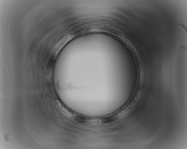 X0000103430801200809261729