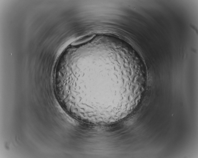 X0000103430803200809261729